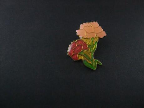 Twee bloemen